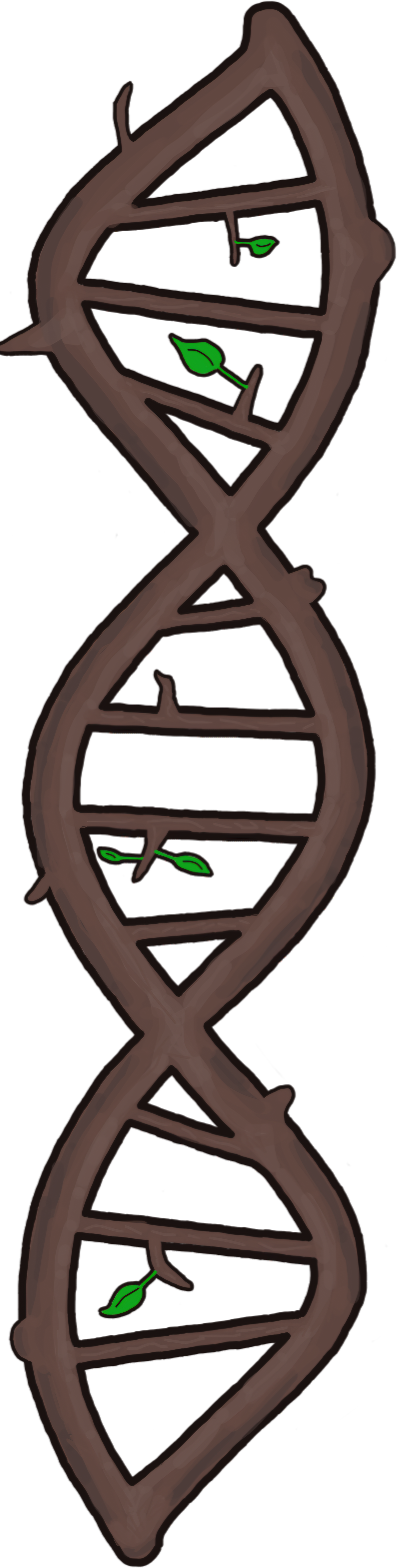 dna double helix that is crafted to look like a tree branch with leaves